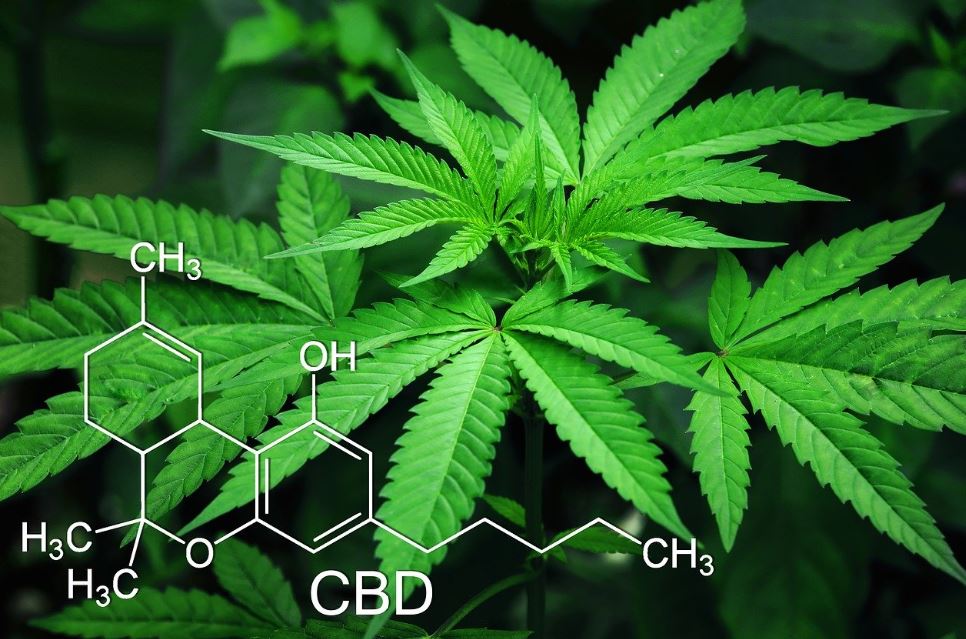 CBD chemistry